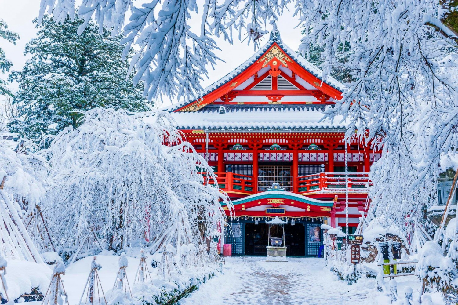 Mùa đông ở Nhật Bản - một vẻ đẹp thơ mộng