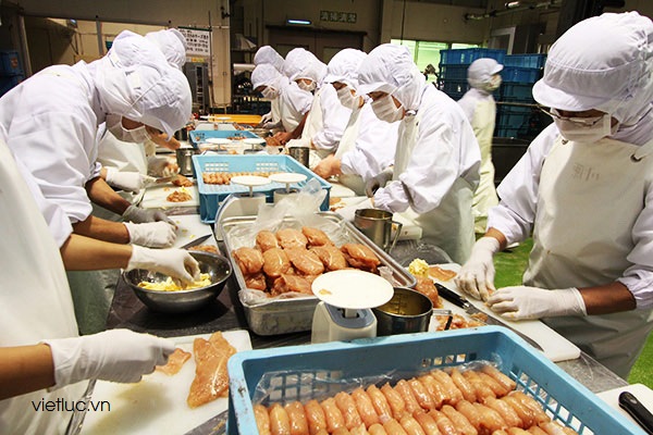 Đơn hàng cơm hộp tại OSAKA Nhật Bản tuyển số lương 16 Nữ - 32tr/ tháng